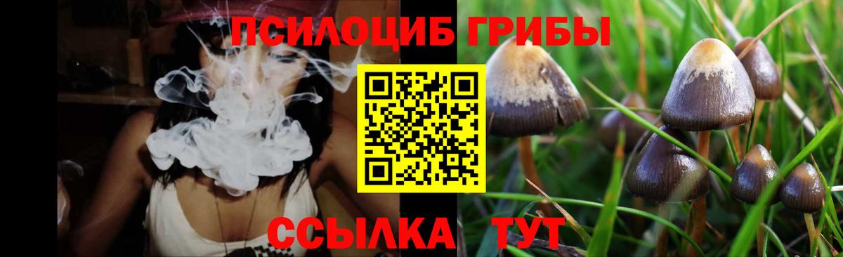 Лысьва  Псилоцибиновые грибы MAGIC MUSHROOMS  Вход с VPN 
